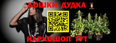 спиды Дубна